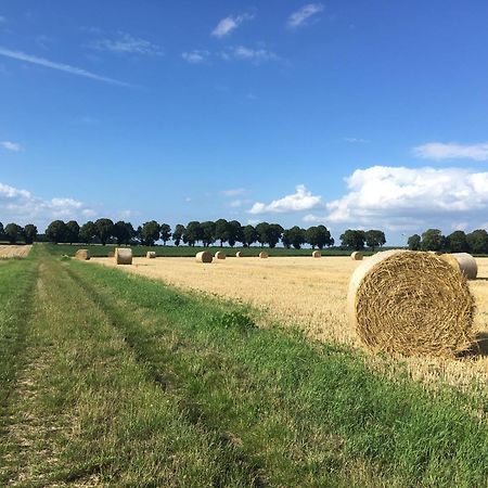 Ferienapartment Kastanje Gross Ippener Bagian luar foto