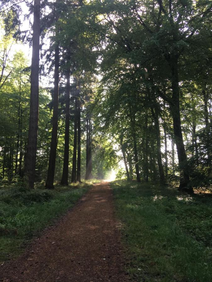 Ferienapartment Kastanje Gross Ippener Bagian luar foto