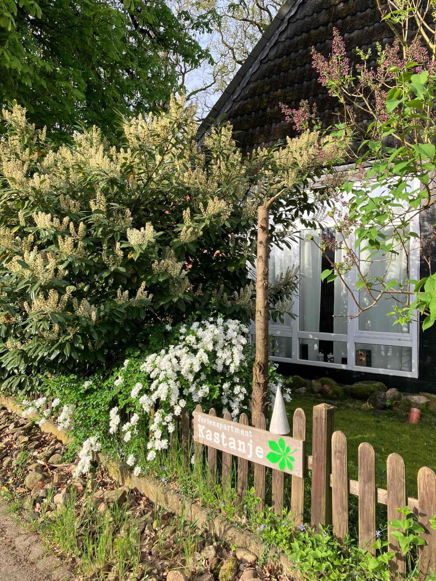 Ferienapartment Kastanje Gross Ippener Bagian luar foto